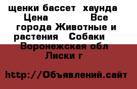щенки бассет- хаунда › Цена ­ 20 000 - Все города Животные и растения » Собаки   . Воронежская обл.,Лиски г.